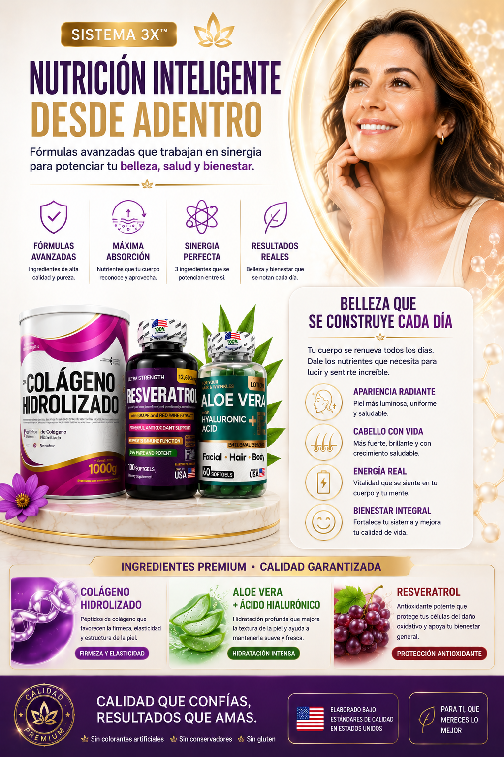 System Revive 3X — sección 6