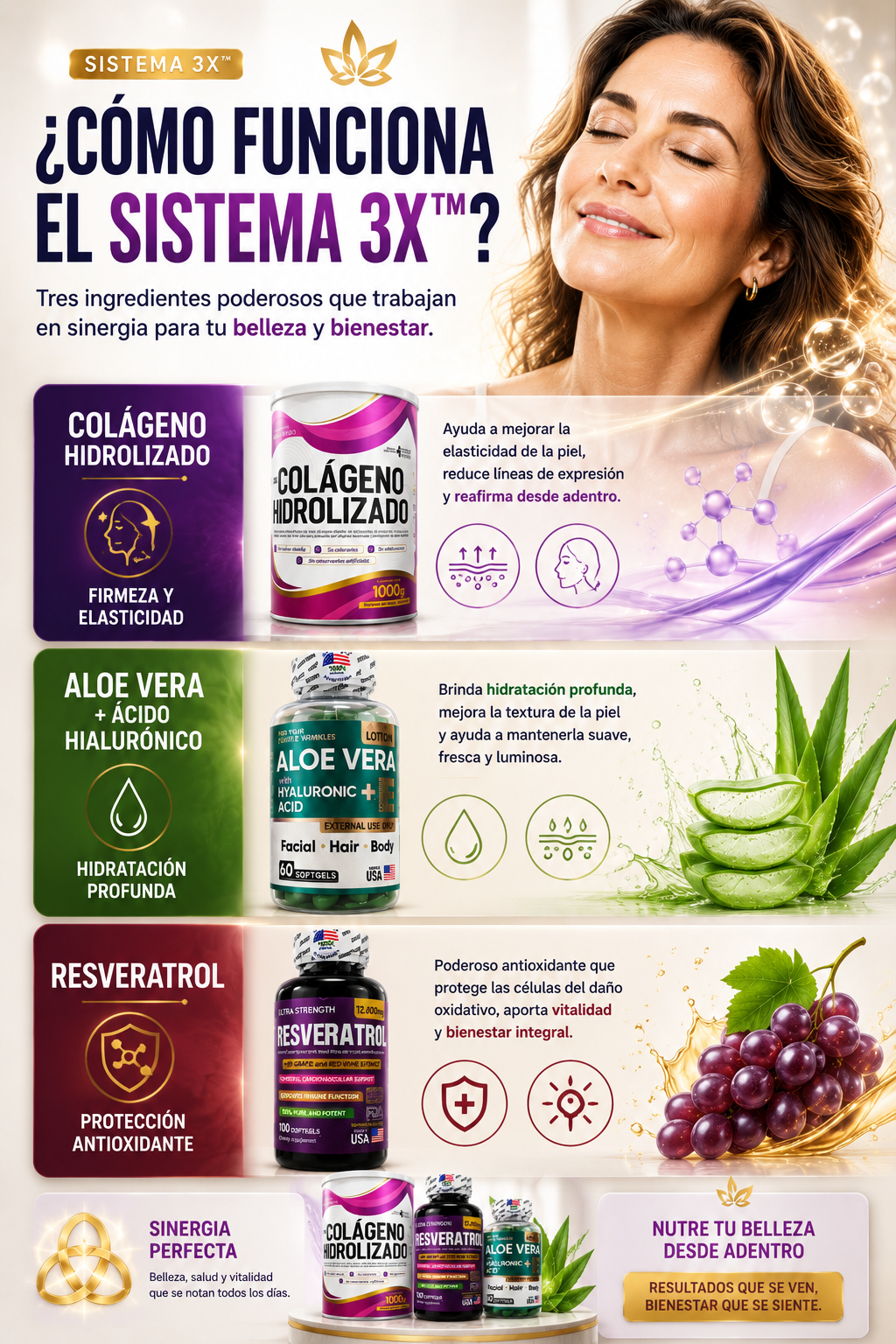 System Revive 3X — sección 4