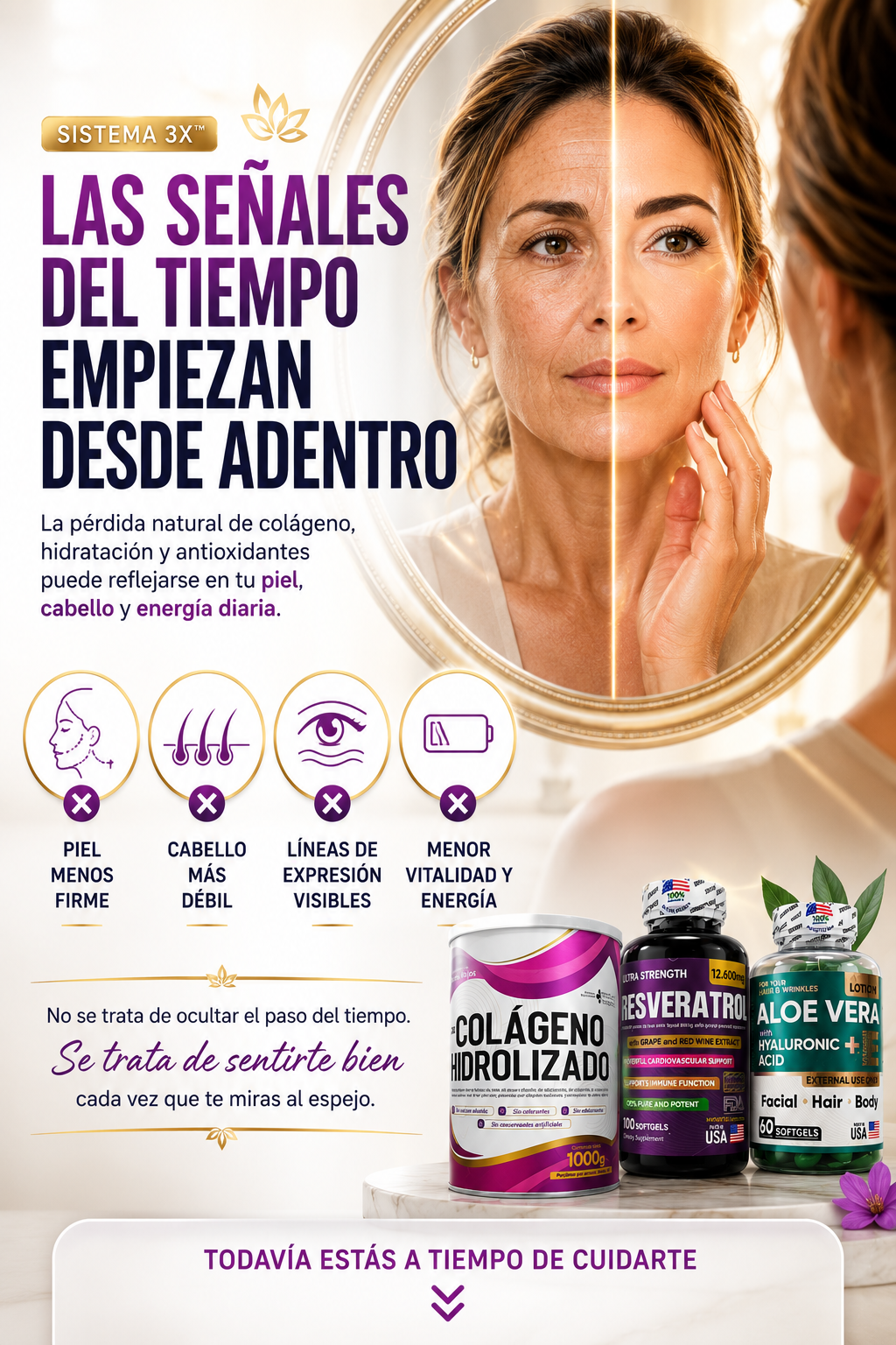 System Revive 3X — sección 2