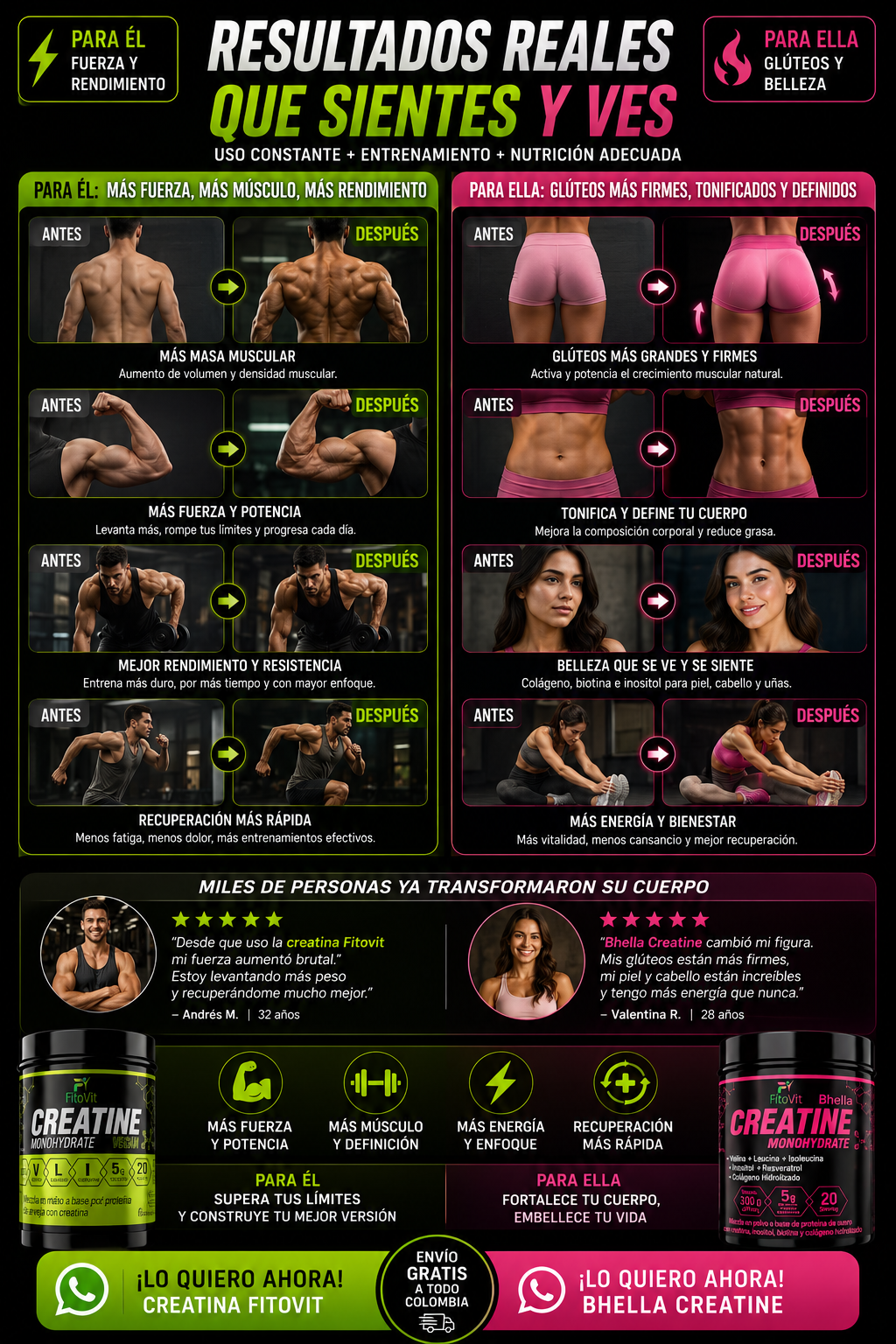 creatine monohydratada 300gr MEN/Bhella — sección 5